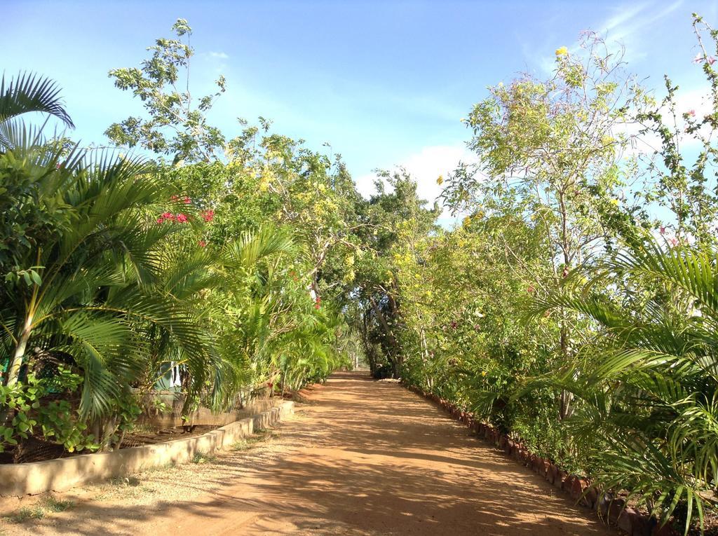 Lagoon Inn Hambantota Buitenkant foto