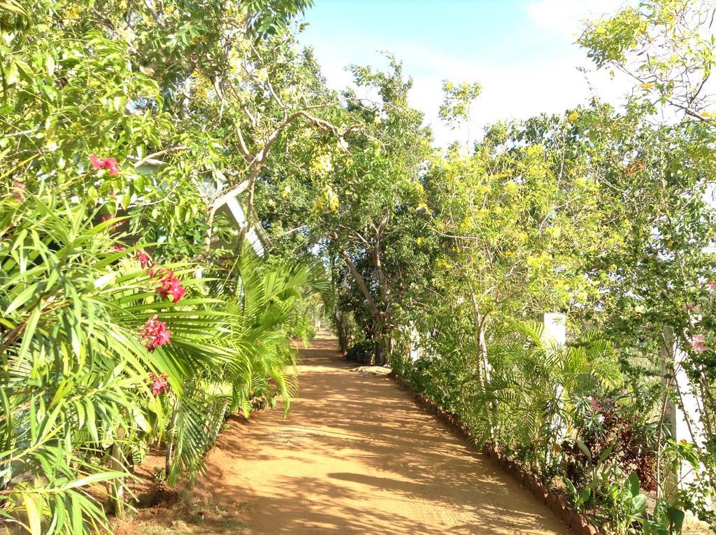 Lagoon Inn Hambantota Buitenkant foto