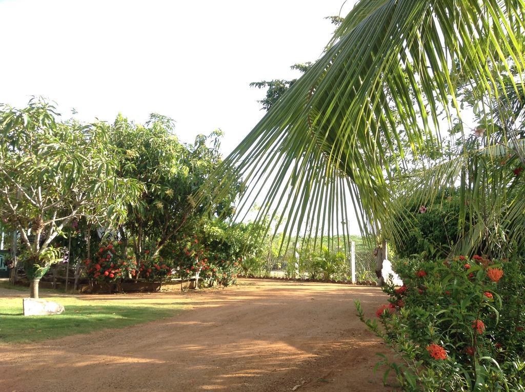 Lagoon Inn Hambantota Buitenkant foto