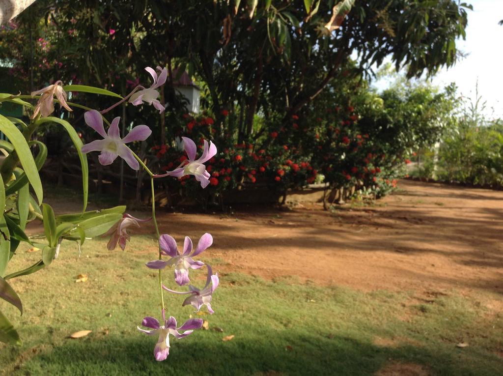 Lagoon Inn Hambantota Buitenkant foto
